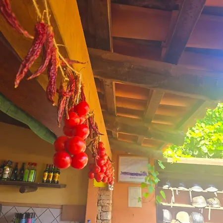 Son Apiana Villa